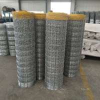 Anping Factory  High quality Heavy galvanized Kraal Network