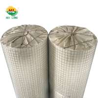 Big discount 1 inch galvanized welded wire mesh in roll