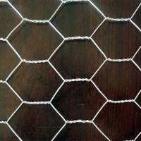 1'' Hexagonal Chicken Wire Mesh 1/2'' Gi Hexgaonal Wire Mesh