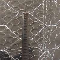 Hot-sale hexagonal wire mesh/ Hot-sale gabions mesh